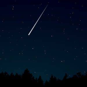 英国广告公司尻逼
