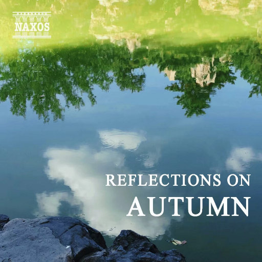 英国广告公司尻逼
